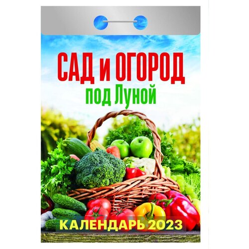 Календарь настенный моноблочный отрывной 2023 год Сад и огород (77х114 мм), 1580695