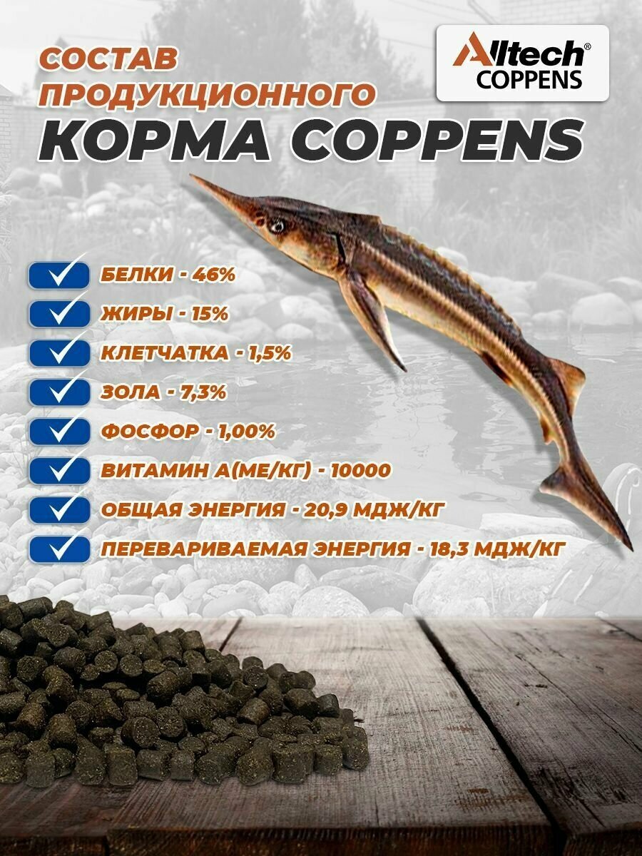 Корм для всех видов осетровых рыб Coppens Supreme-15, фракция - 9 мм, 1 кг. - фотография № 5