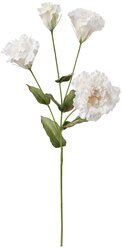 SMYCKA смикка цветок искусственный 60 см Лизиантус/белый