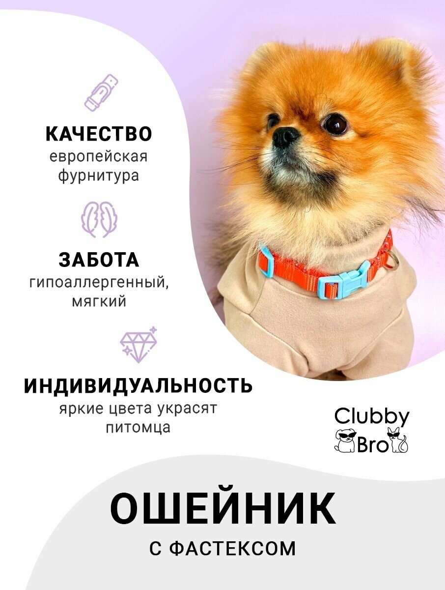 Clubby Bro Ошейник для собак мелких пород и средних пород, оранжевый-голубой, размер S