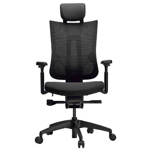 фото Эргономичное компьютерное кресло schairs ton-m01b black