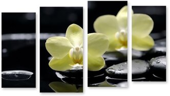 Модульная картина на холсте "Желтые орхидеи" 90x55 см