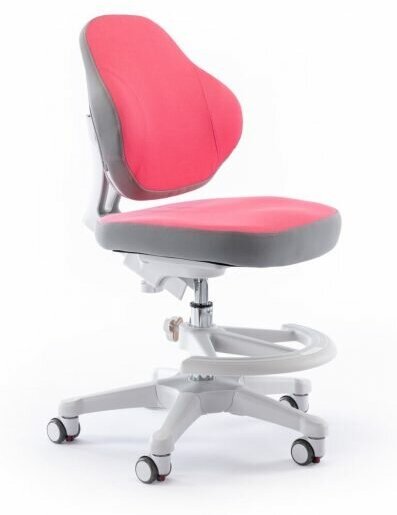 Растущее детское кресло для дома ErgoKids (Y-405) KP для обычных и растущих парт с подставкой для ног и чехлом