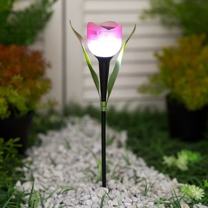 Садовый светильник Uniel на солнечной батарее «Розовый тюльпан» 5 × 30.5 × 5 см свечение белое