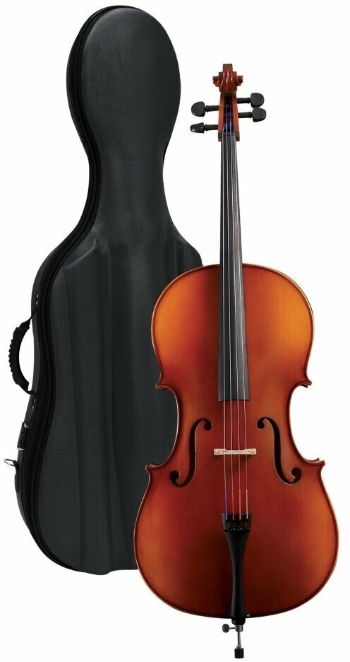 GEWA Cello outfit Europe 1/2 Виолончель в комплекте (GS403223)