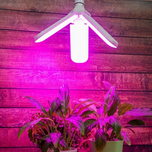 Лампа светодиодная для растений Uniel UL-00007407, E27, 24 Вт - фотография № 9