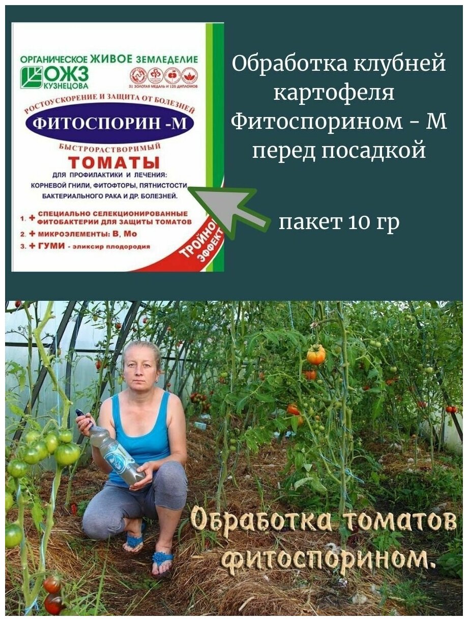 Фитоспорин-М для томатов, порошок 10 г. Микробиологический препарат от фитофтороза, парши, мучнистой росы, черной ножки и прочих заболеваний овощных культур - фотография № 3