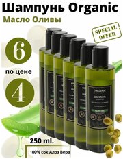 Шампунь Organic Guru Масло Оливы без сульфатов, 6 штук