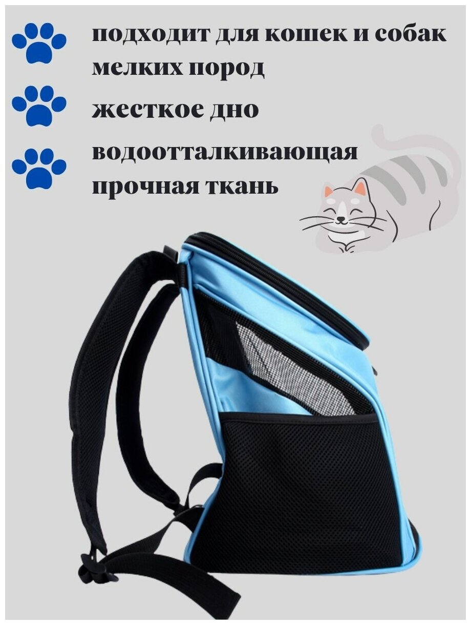 Переноска рюкзак для кошек и собак малых пород, размер S, переноска для животных - фотография № 3