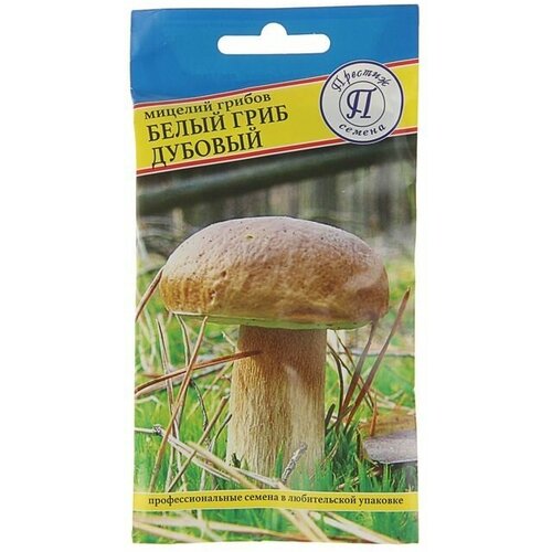 Мицелий Белый гриб дубовый, 50 мл 2 упаковки мицелий грибов белый дубовый 50мл