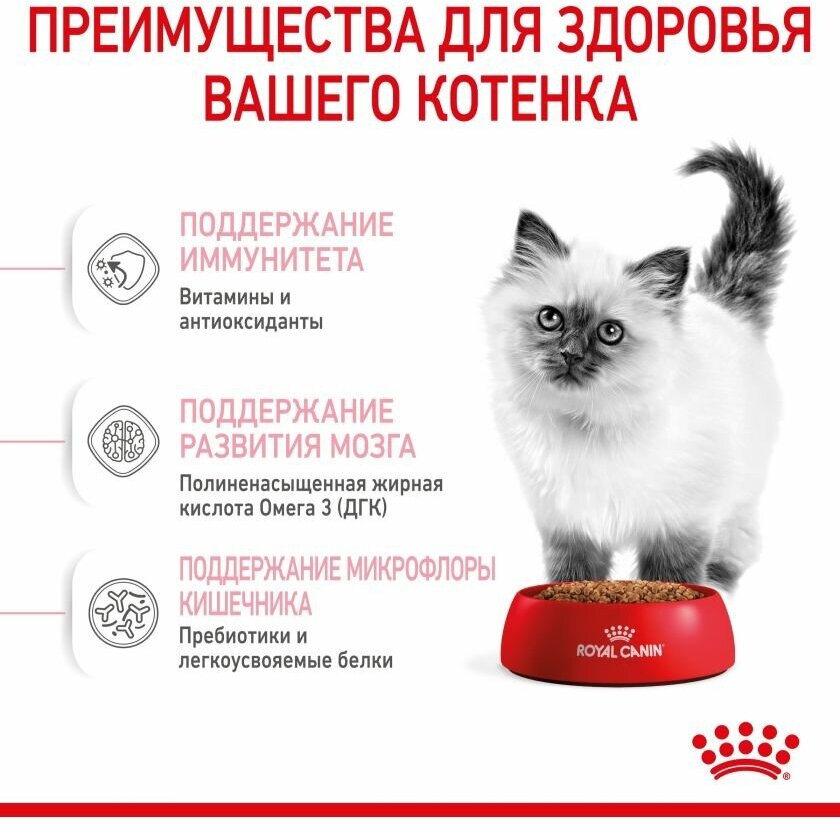 ROYAL CANIN KITTEN 36 для котят (0,3 + 0,15 кг) - фотография № 13