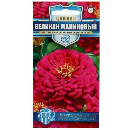 Семена цветов Цинния 'Великан малиновый', серия Русский богатырь, 0,3 г