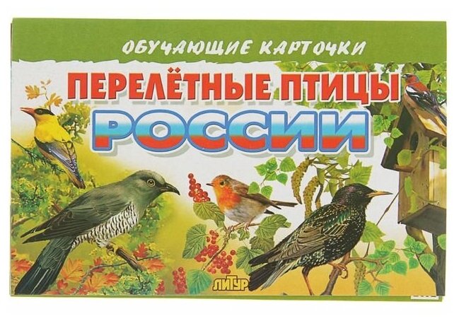 Литур Обучающие карточки «Перелётные птицы России», 16 карточек