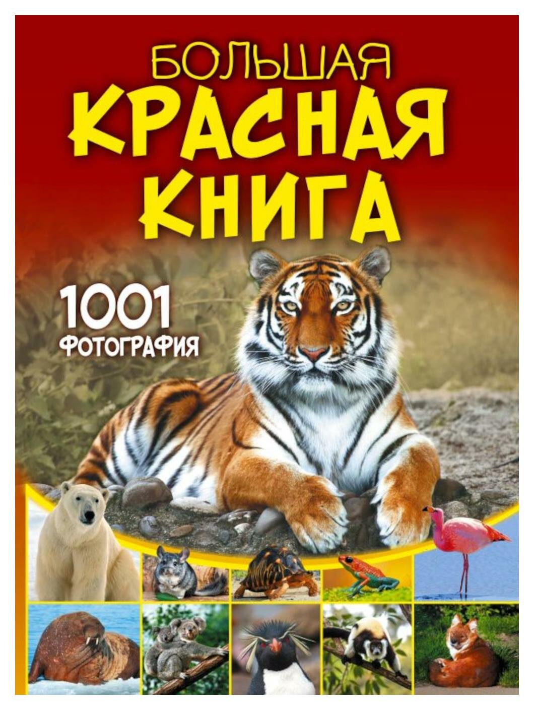 Большая Красная книга. 1001 фотография. Спектор А. А. АСТ