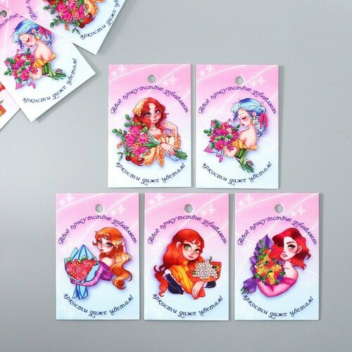 Бирка картон Прекрасная леди набор 10 шт 5 видов 4х6 см 328₽