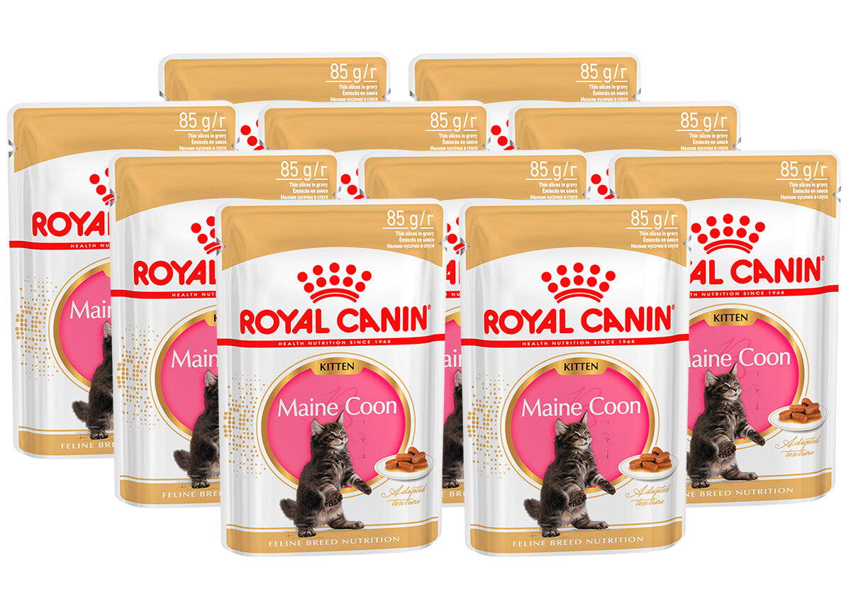 ROYAL CANIN MAINE COON KITTEN для котят мэйн кун в соусе пауч 85 гр 85 гр х 10 шт