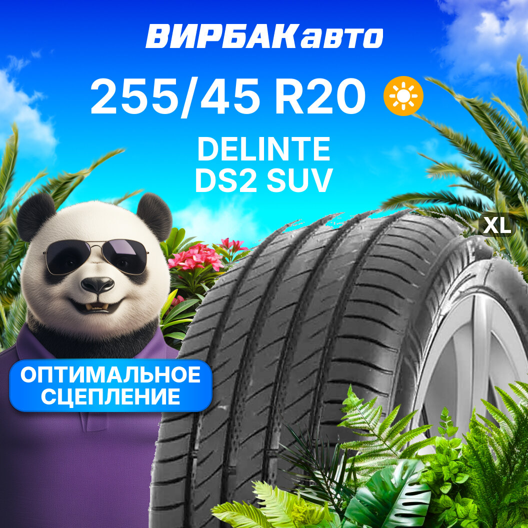 Летние шины DELINTE DS2 SUV 255/45R20 105W XL
