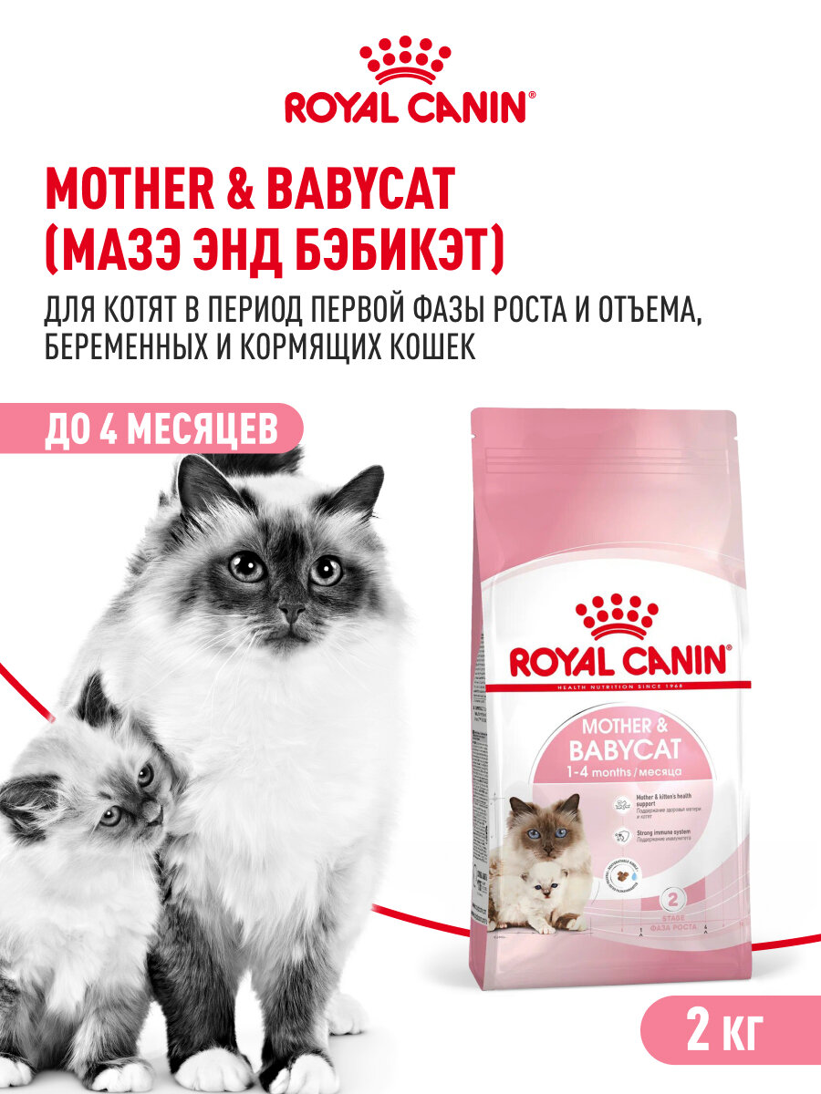 Сухой корм для котят, беременных и кормящих кошек Royal Canin Mother&Babycat, 2 кг — фото 1