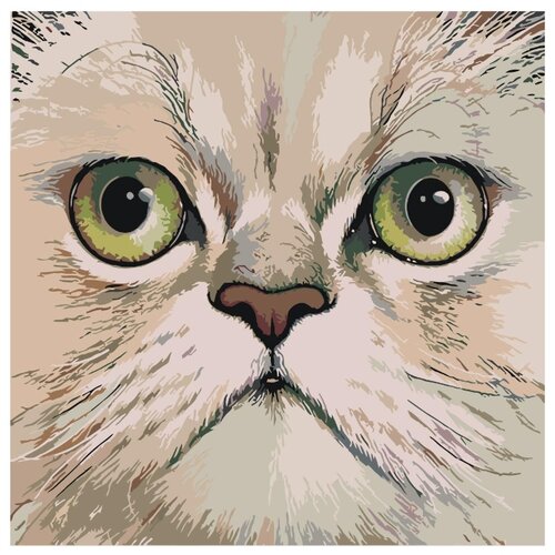 Персидская мордочка Раскраска по номерам на холсте Живопись по номерам персидская кошка с розами раскраска картина по номерам на холсте