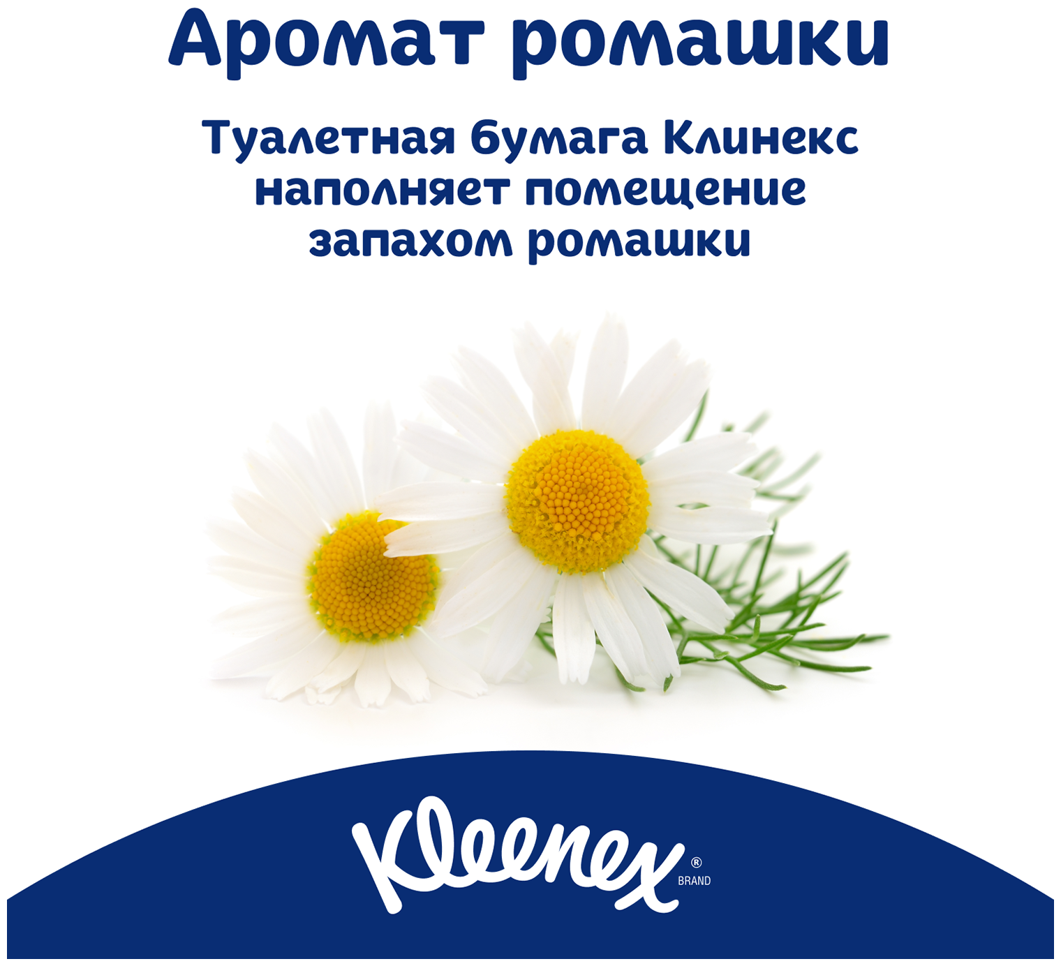 Туалетная бумага Kleenex "Нежная ромашка", 3 слоя, 8 рулонов - фото №15