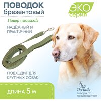 Поводок для собак 5м, поводок брезентовый "PetTails" ширина 25мм