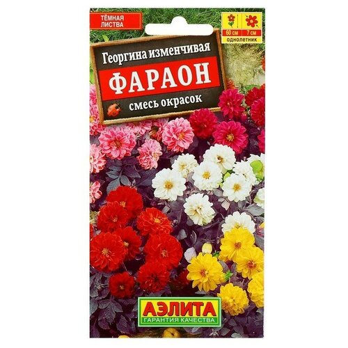 Семена цветов Георгина Фараон, смесь окрасок, О, 0,3 г