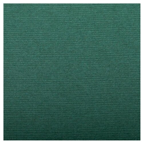 Бумага для пастели 25л. 500*650мм Clairefontaine Ingres, 130г/м2, верже, хлопок, темно-зеленый