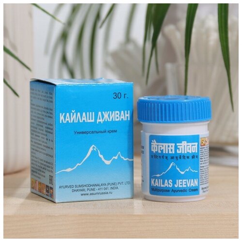 Kailas Jeevan Крем Kailas Jeevan против ожогов, воспалений и порезов, 30 г