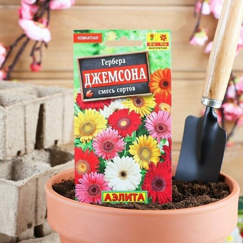 Семена комнатных цветов Гербера Джемсона Cмесь окрасок, 0,04 г 6 упаковок гербера джемсона семена цветы
