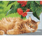 Картина по номерам Рыжий кот 40х50 см Hobby Home