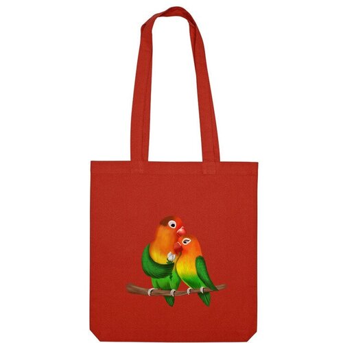 фото Сумка us basic, красный