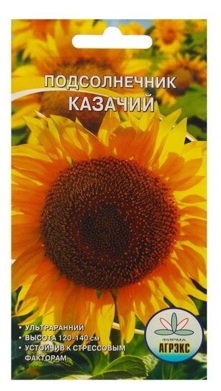 Семена Подсолнечник "Казачий " 10 шт 6 шт.