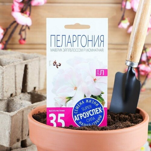 Семена комнатных цветов Пеларгония Эйплблоссом, 4 шт 2 упаковки