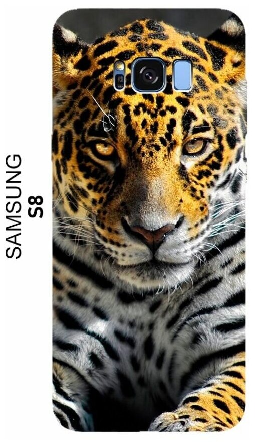 Чехол на Samsung S8