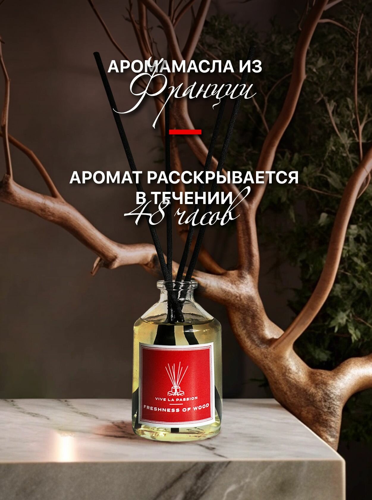 Диффузор ароматический "Freshness of Wood" (Свежесть древесины) Vive La Passion с палочками 50 мл. Для дома, спальни, гардеробной, гостиной и прихожей — фото 1