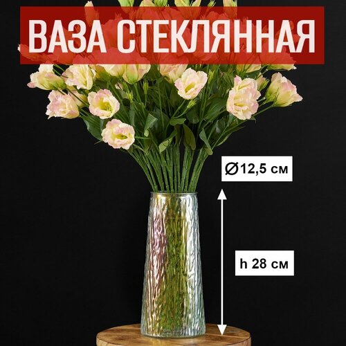 Ваза для цветов и сухоцветов стеклянная прозрачная D125хН28 см 689₽