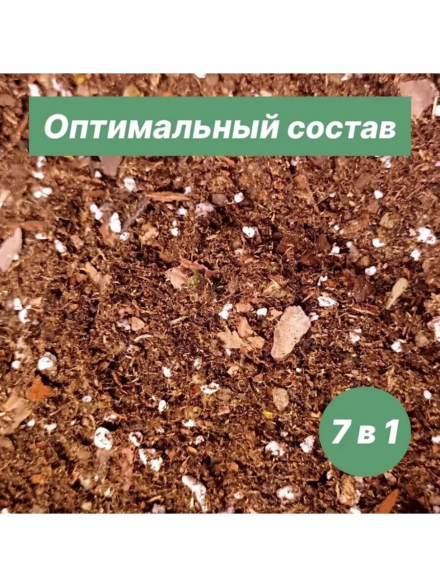 Грунт для Декабриста, Шлюмбергера, Рипсалидопсиса 5л готовый — фото 1