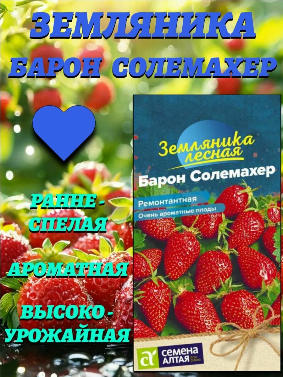 Ягода Земляника Барон Солемахер ремонтантная (003 гр.). Семена Алтая