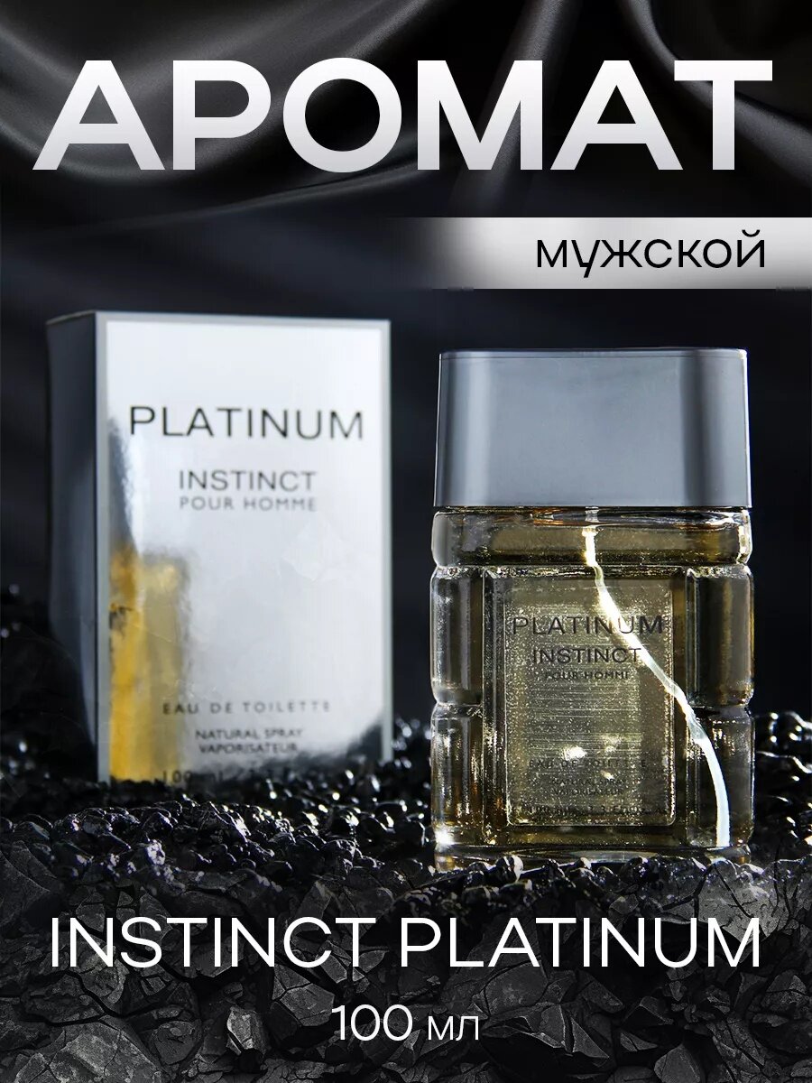 Туалетная вода мужская Instinct Platinum  100 мл  фужерный аромат