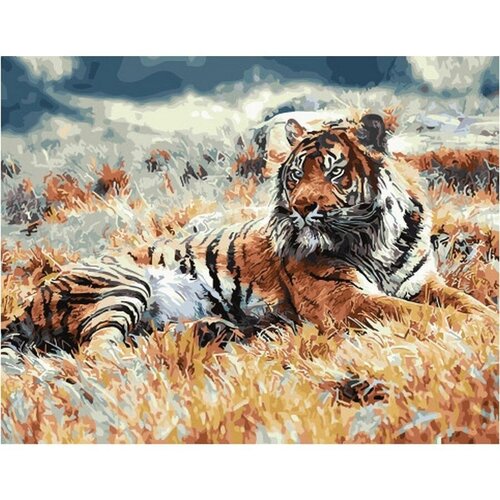 Картина по номерам Тигр в степи 40х50 см