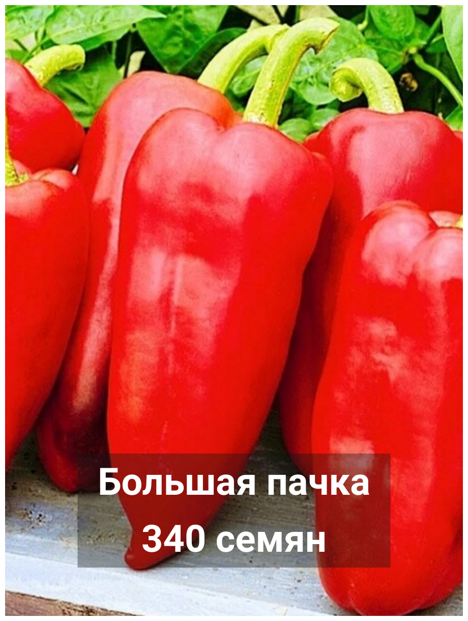 Семена переца сладкого
