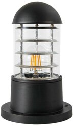 Уличный светильник Arte Lamp COPPIA A5217FN-1BK