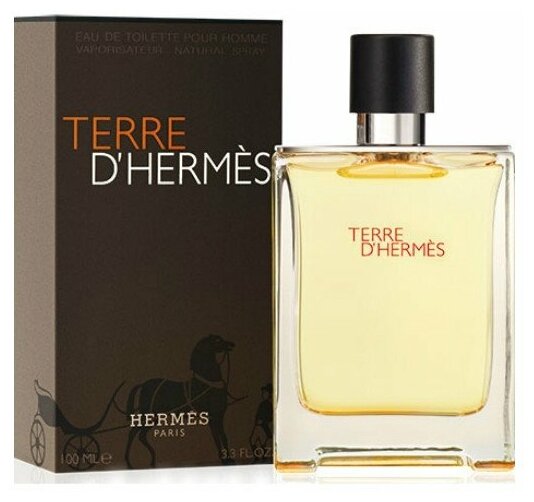 Туалетная вода Hermes мужская Terre D`Hermes Eau De Toilette 100 мл — купить в интернет-магазине по низкой цене на Яндекс Маркете