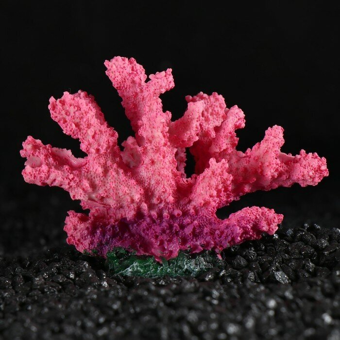 SUI Декоративный коралл "Синулярия", 10 х 5 х 6,5 см
