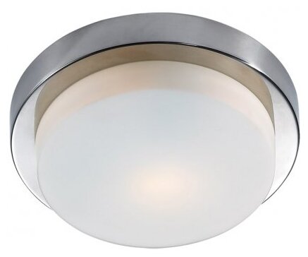 Настенно-потолочный светильник Odeon Light Holger 2746/1C E14