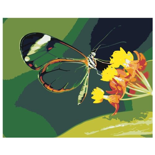 Бабочка на цветке Раскраска картина по номерам на холсте