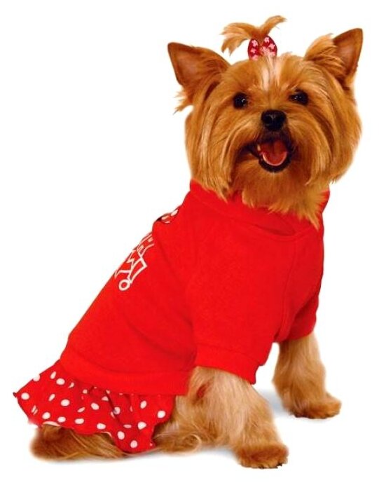 Толстовка Triol Minnie для взрослых собак с капюшоном с юбочкой S WD1033S - фотография № 2