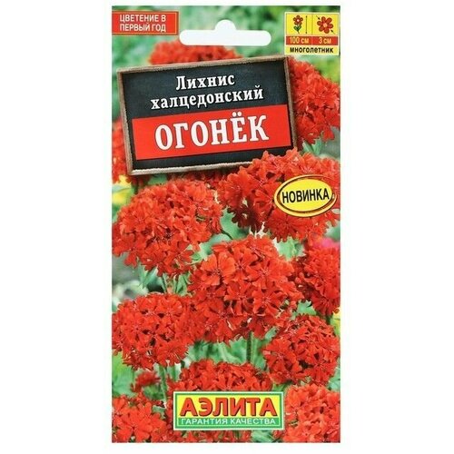 Семена Цветов Лихнис Огонек, 0,1 г 6 упаковок семена арбуза огонек