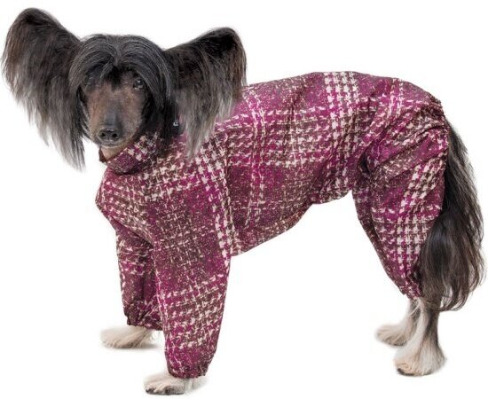 Гамма Комбинезон-дождевик для собак "Китайская хохлатая" (36 см, Унисекс) - фото №1