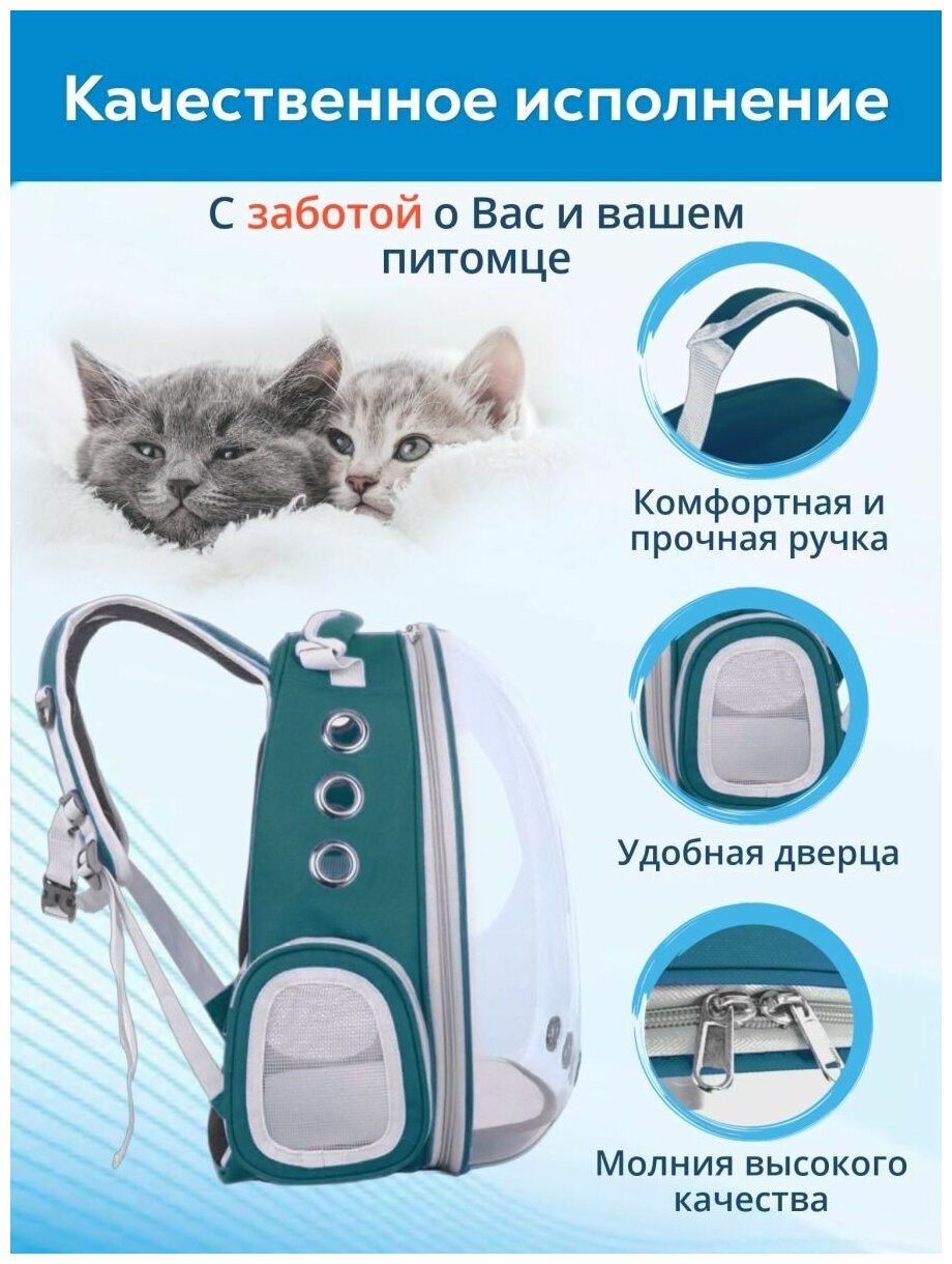 Рюкзак переноска для кошек, собак и грызунов / Рюкзак с иллюминатором для животных до 7 кг - фотография № 4